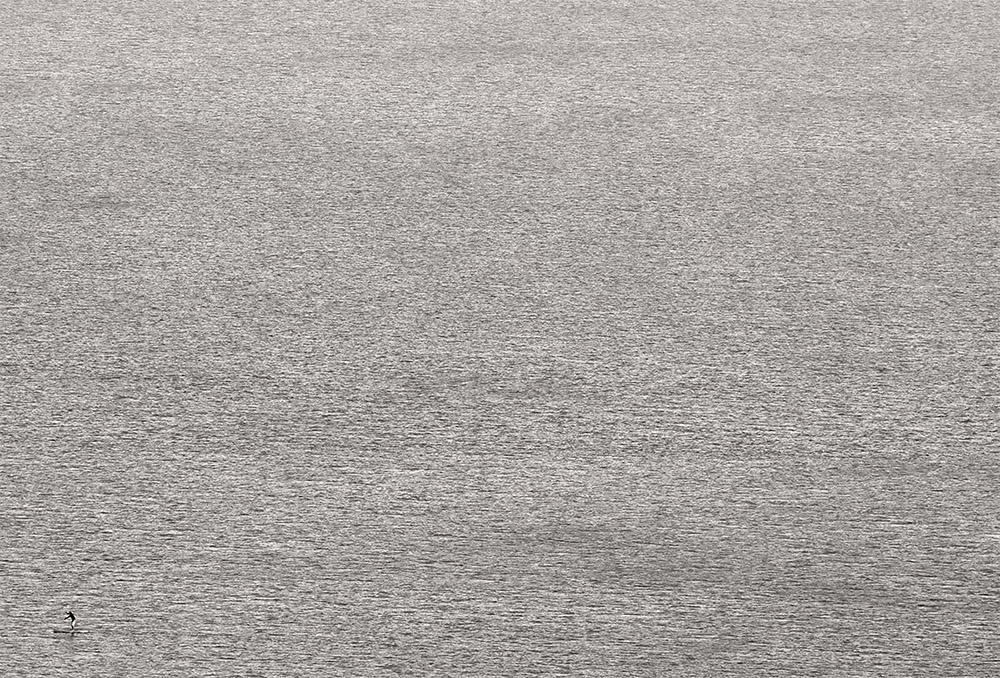 _DG00146Corr B1WFiltre.jpg