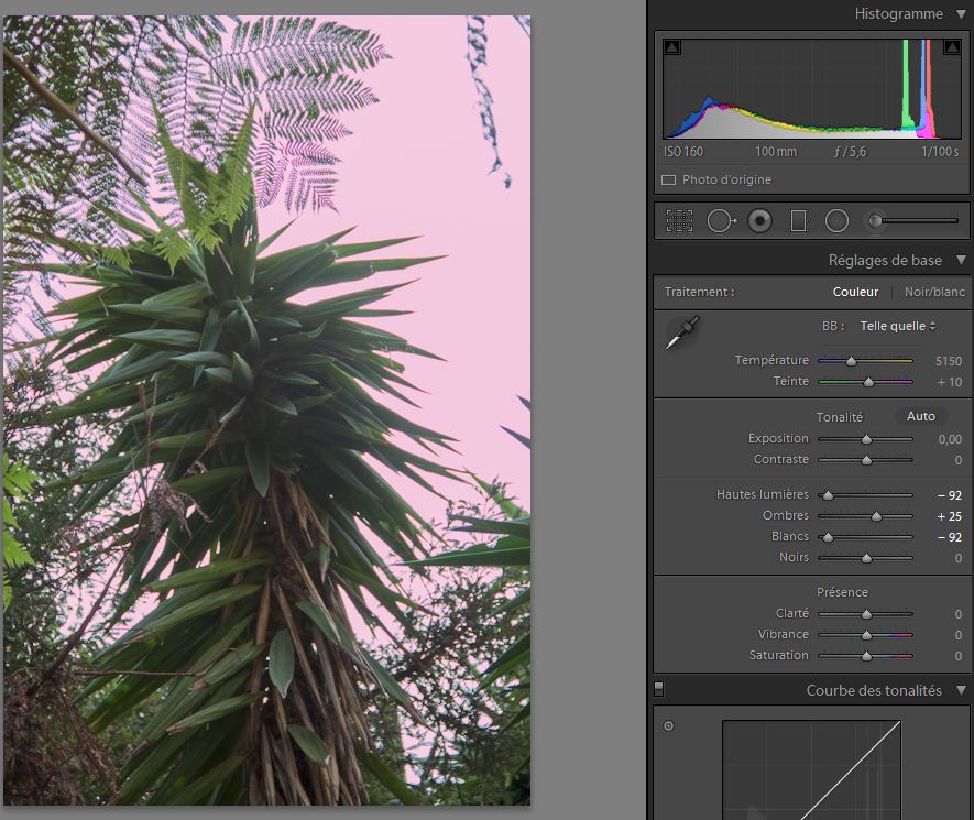 Capture1.JPG