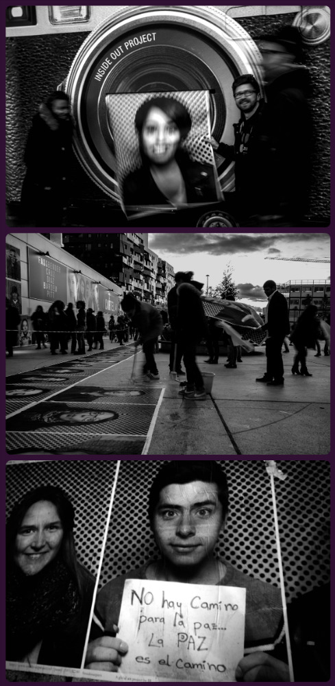 collage.jpg