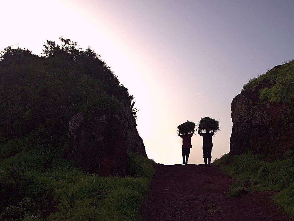 Jerome91 proposition.jpg