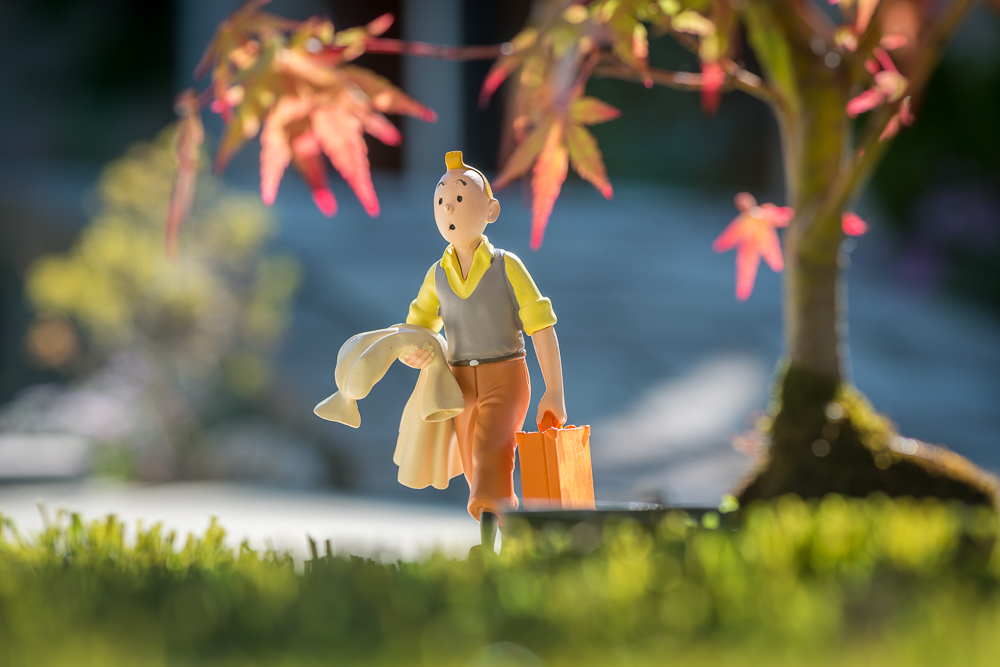 TINTIN-.JPG