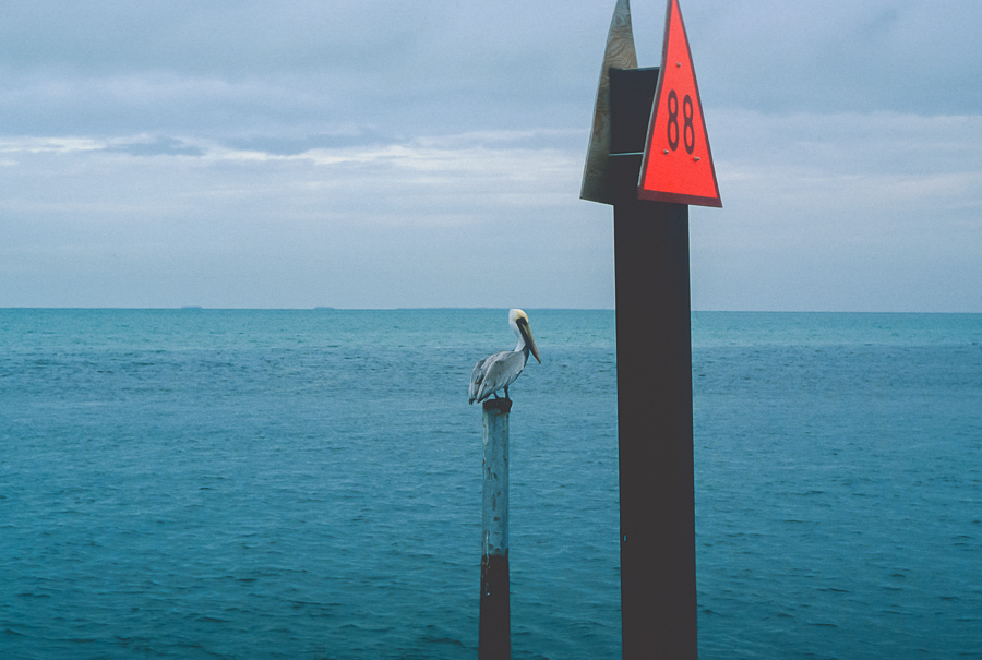 1986_12_floride_bateau (55).jpg