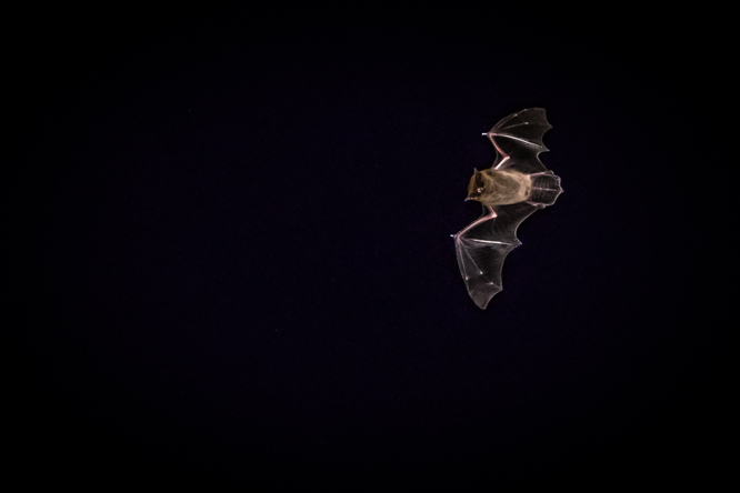 DSC_0019-2.JPG