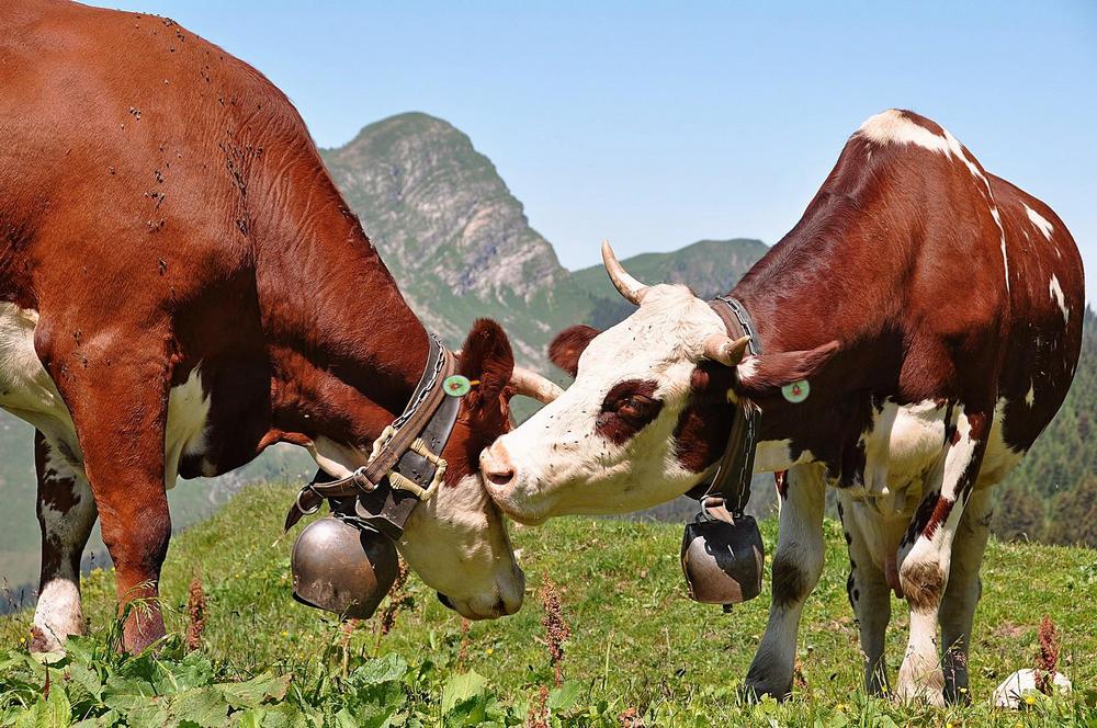 cherchez erreur 003.jpg