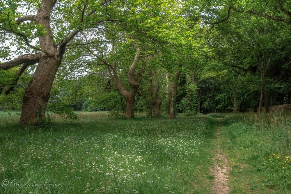 chemin chateau de kerjean_-1000.jpg