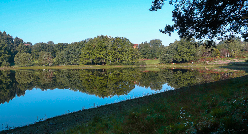 Etang.jpg