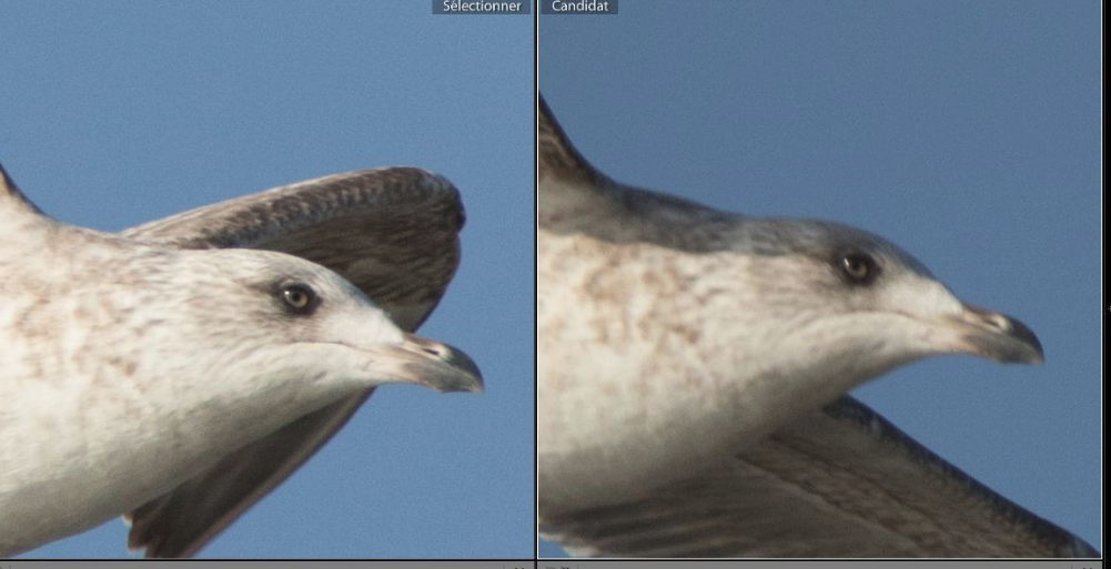 bouger_focus.JPG