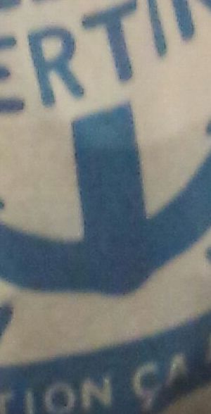 _cekoica 08 question.jpg