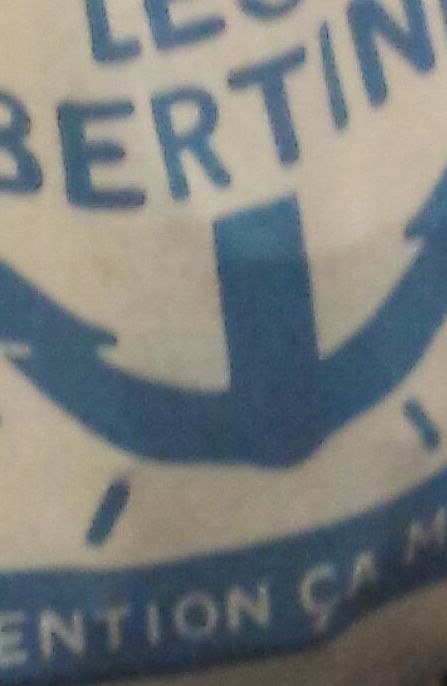 cekoica 08 elargi.jpg