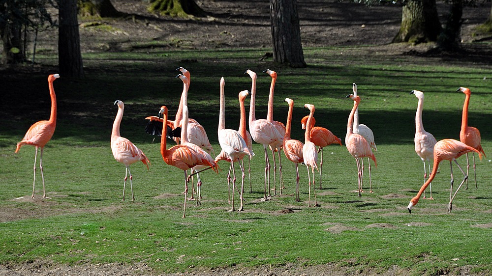 H--, L- --S -U F---, J'-- -I- G---E - V---.JPG