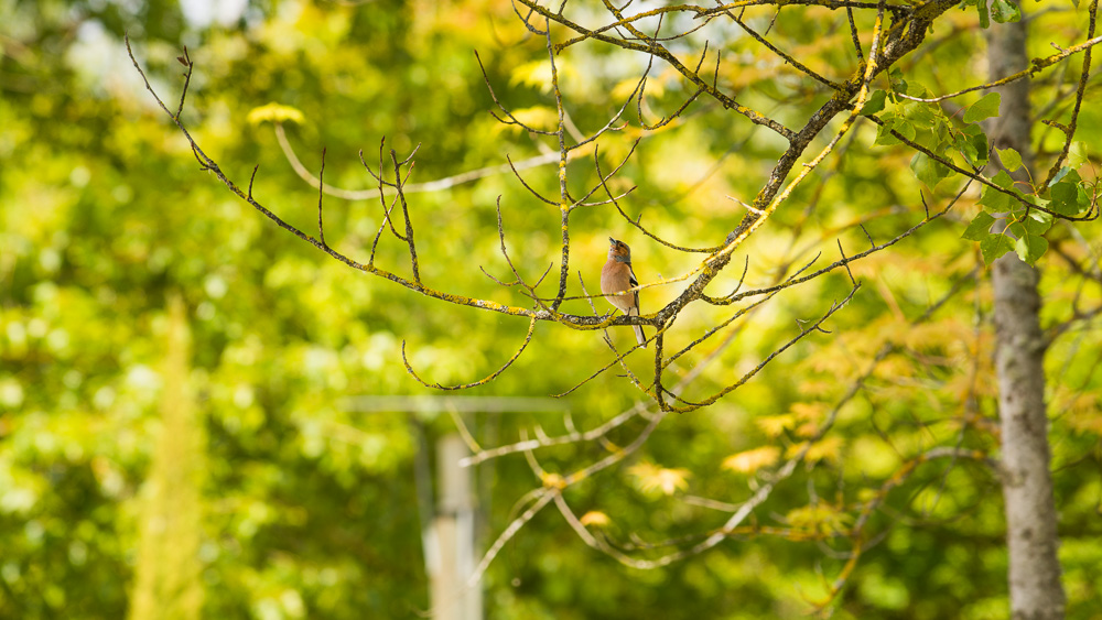 DSC_0895.jpg