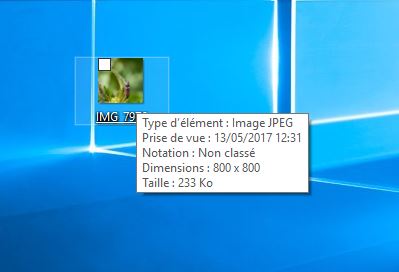 info bulle2.JPG