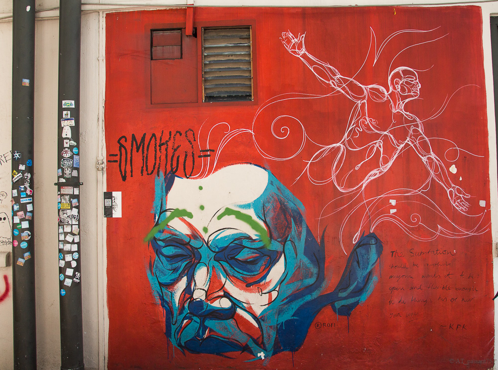 Fresque solo2.jpg