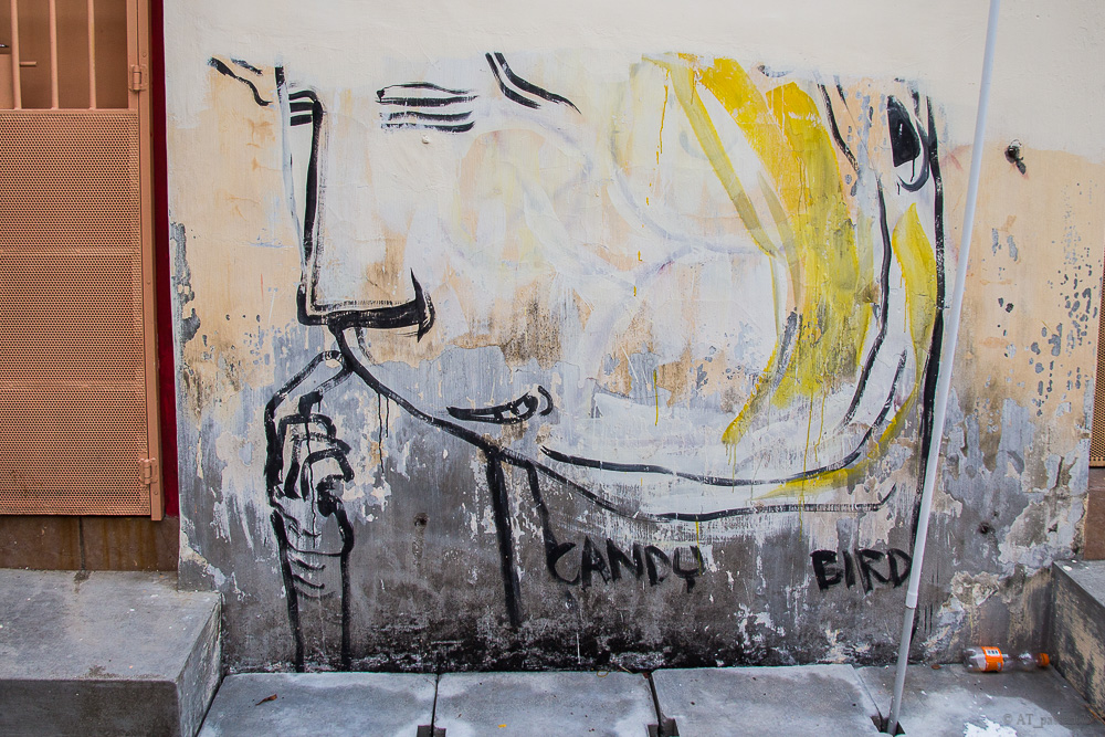 Fresque solo4.jpg