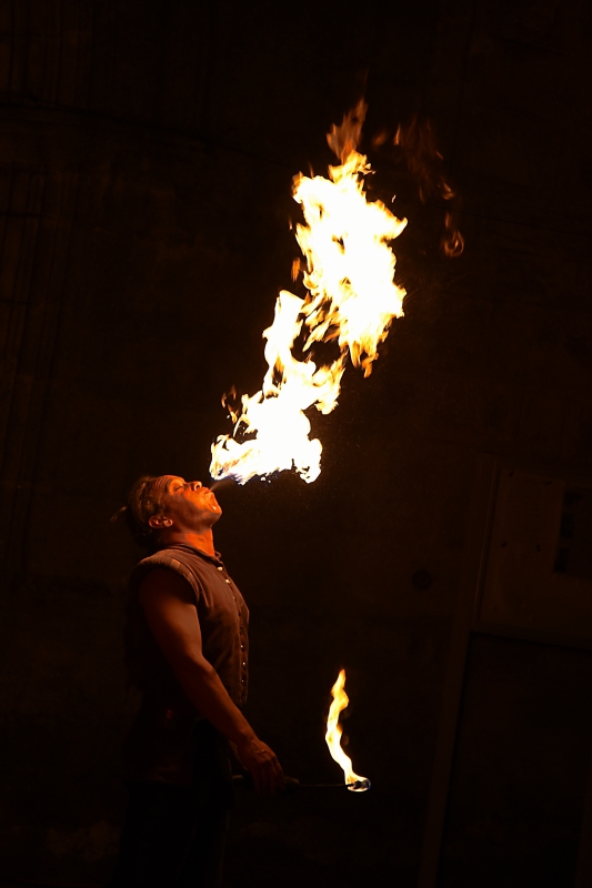 DSC_2527.JPG