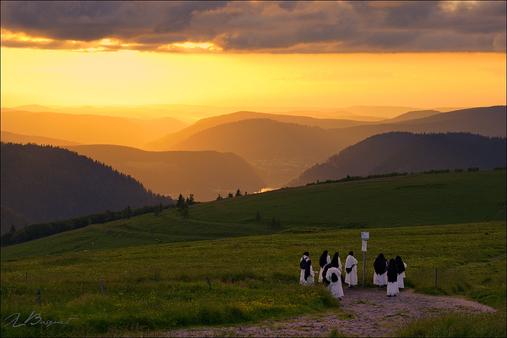 2016_0705__Vosges_JLUC7296_1000.jpg
