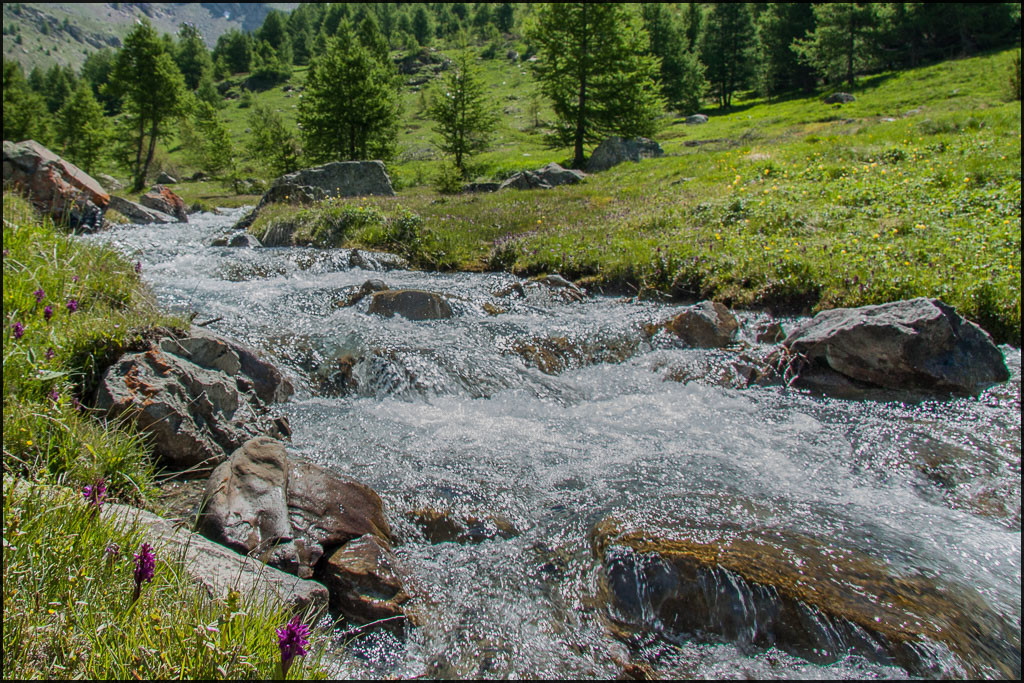 Torrent Hautes Alpes.jpg