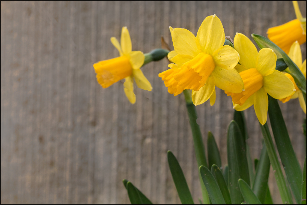 Intrus (4 sur 5).jpg