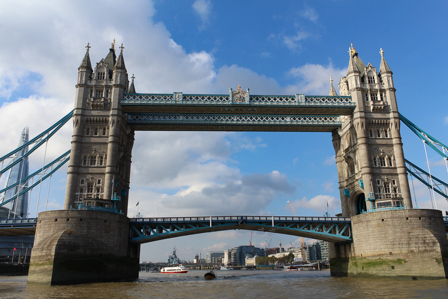 trouvez l'intrus-4.JPG