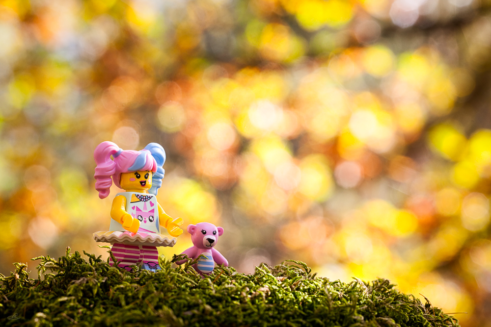 18102017-_MG_3217-Modifier.jpg