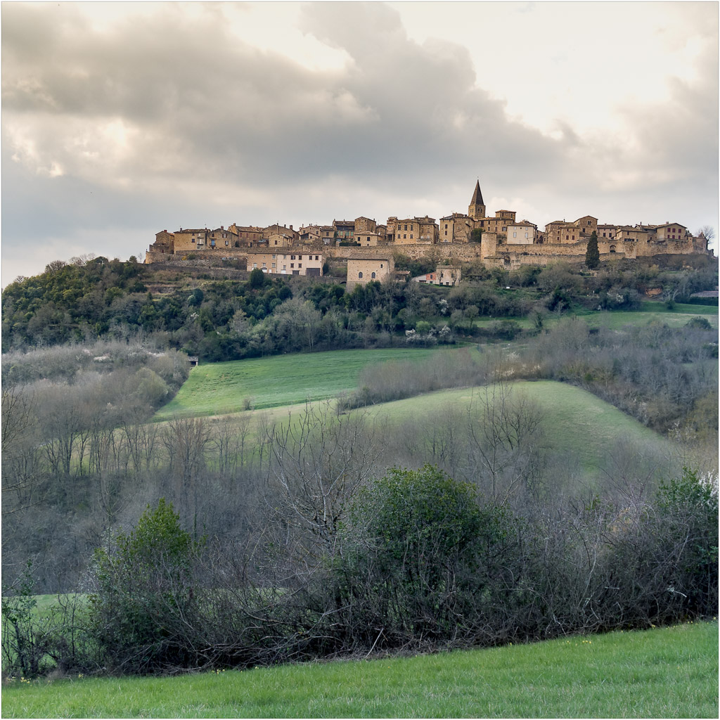 Castelnau de Montmiral-1.jpg