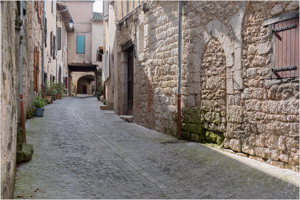 Castelnau de Montmiral-2.jpg