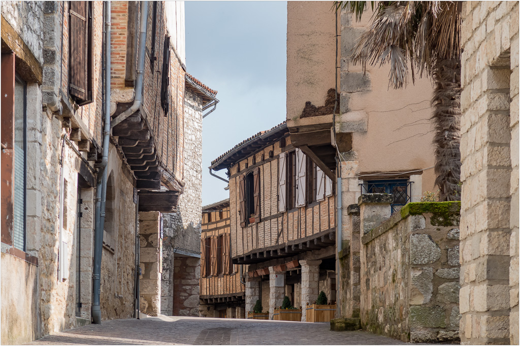 Castelnau de Montmiral-7.jpg