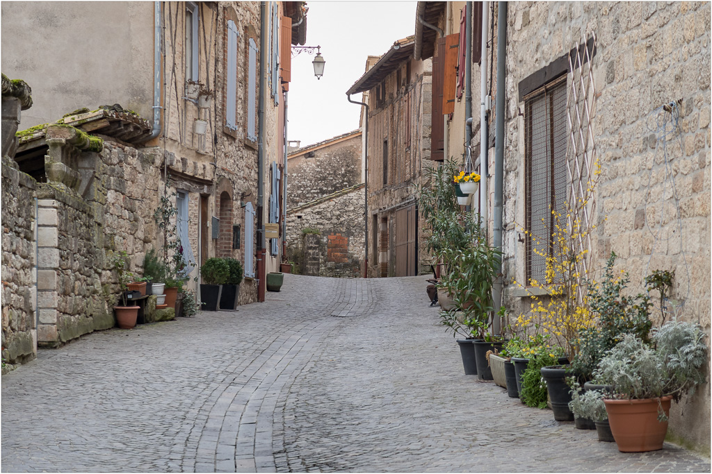 Castelnau de Montmiral-6.jpg