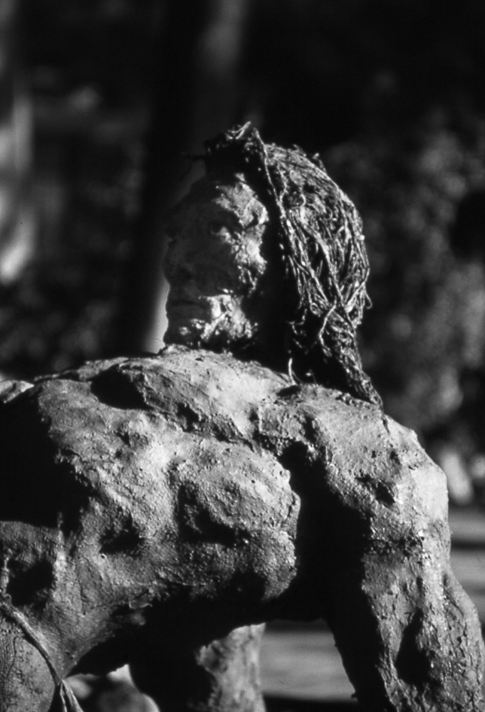 homme-buste-2.jpg