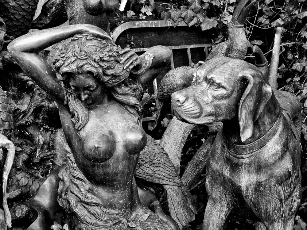 20121028-041-Modifier - Copie.jpg