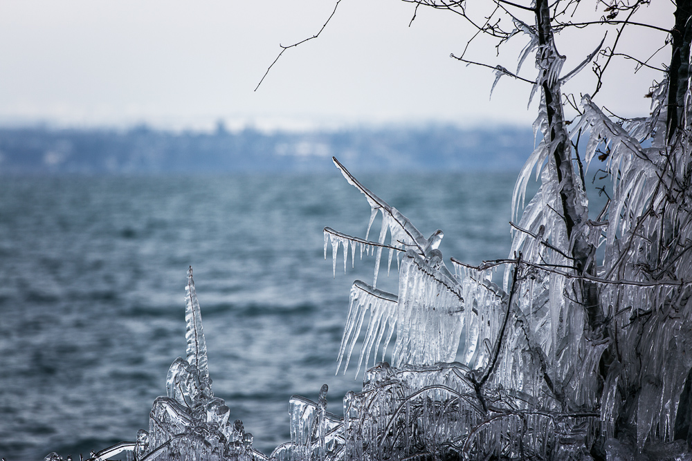 lac leman geneve sogo photos.jpg