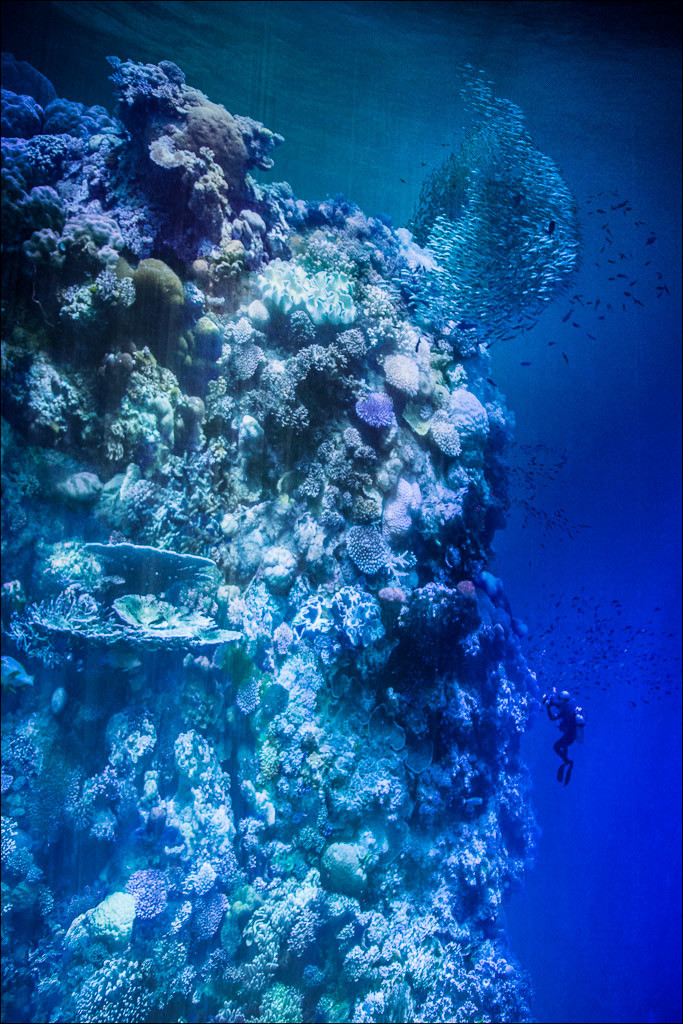 Une photo - un mot.jpg