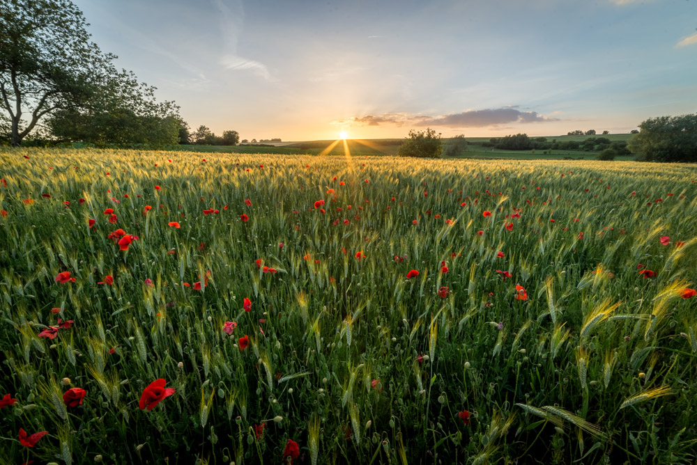 _DSC6485-HDR.jpg