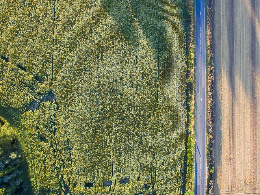 06072016-DJI_0015.jpg
