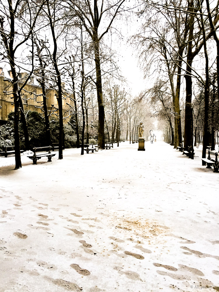 Paris sous la neige-2.jpg