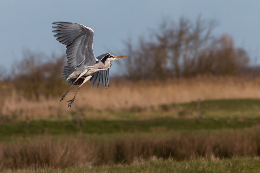 1803  03IMG_5059.jpg