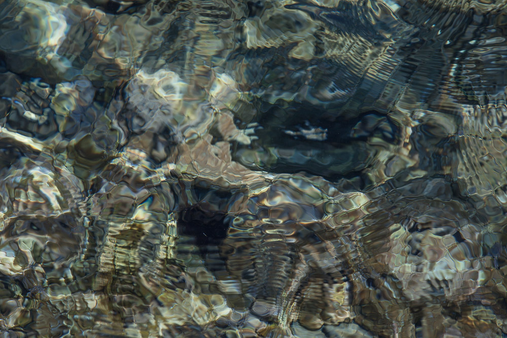 Fonds marins.jpg