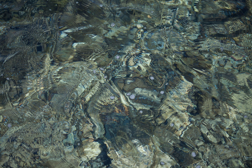 Fonds marins-4.jpg