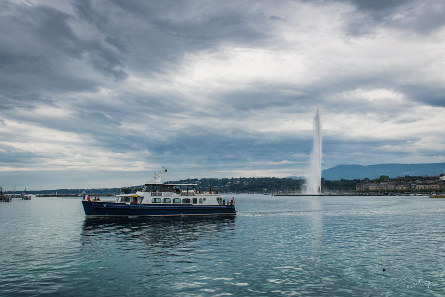 IMG_7573-1-3.jpg