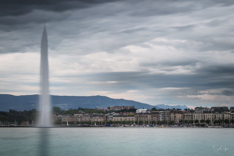 IMG_7551-1-3.jpg