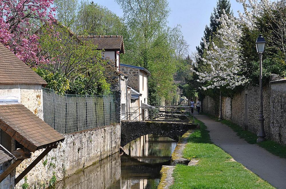 DSC_1296 Chevreuse les Petits Ponts 1000.jpg