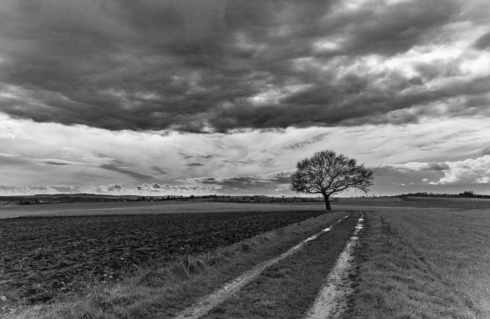 3--29032018-IMG_8357-HDR.jpg