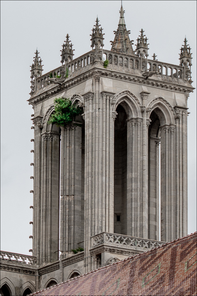 Une photo Un Mot_.jpg