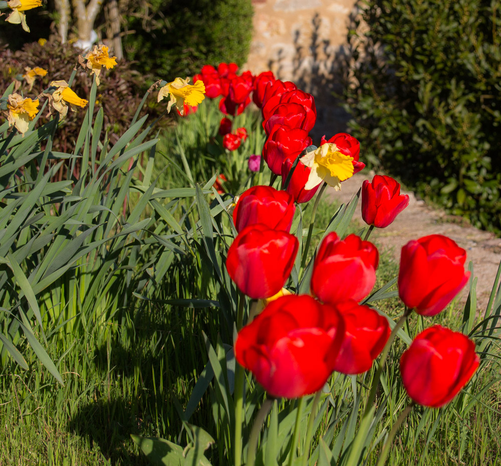 ROUGE ET JAUNE-4.jpg