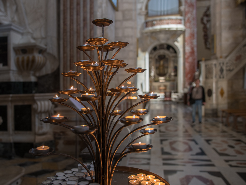 DSC_2820.jpg