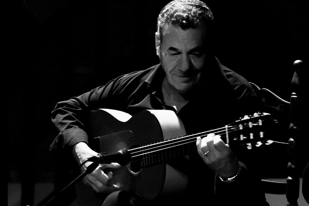 Flamenco_NB_1.jpg