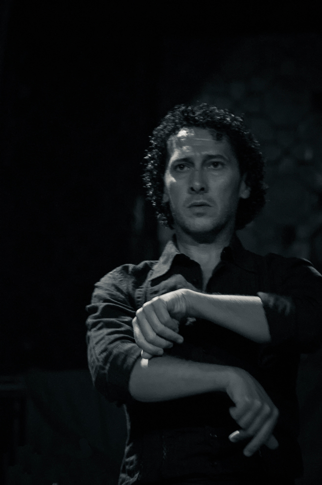 Flamenco_NB_2.jpg