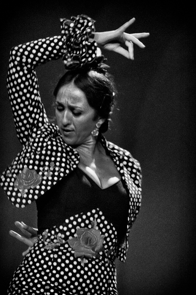 Flamenco_NB_3.jpg