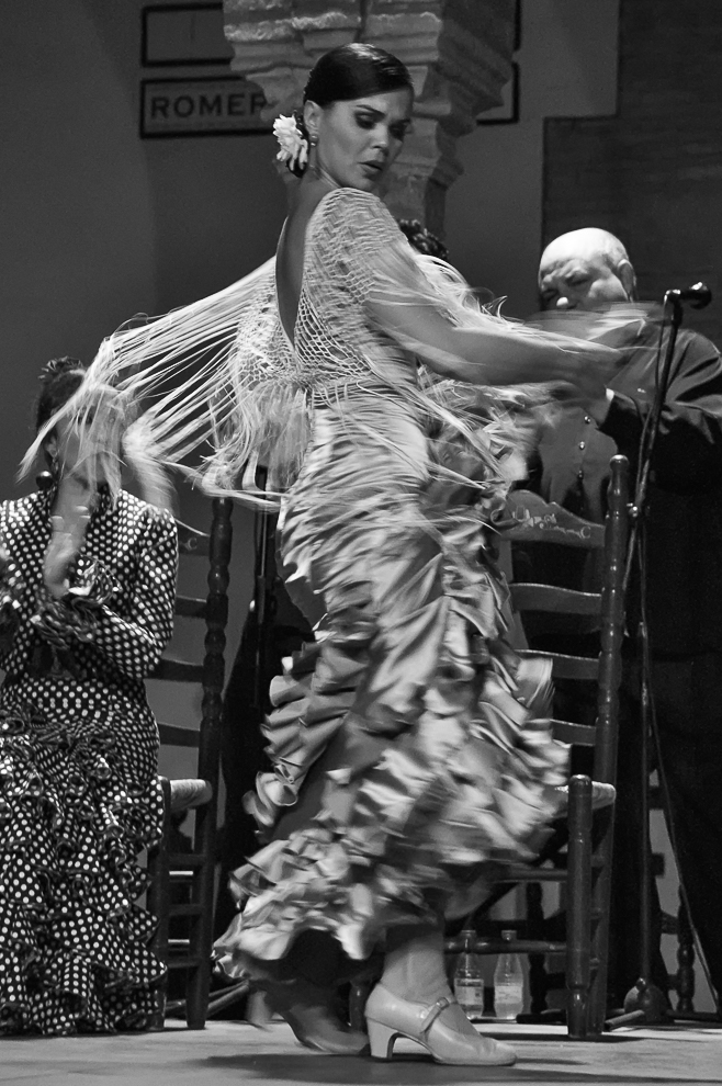 Flamenco_NB_4.jpg