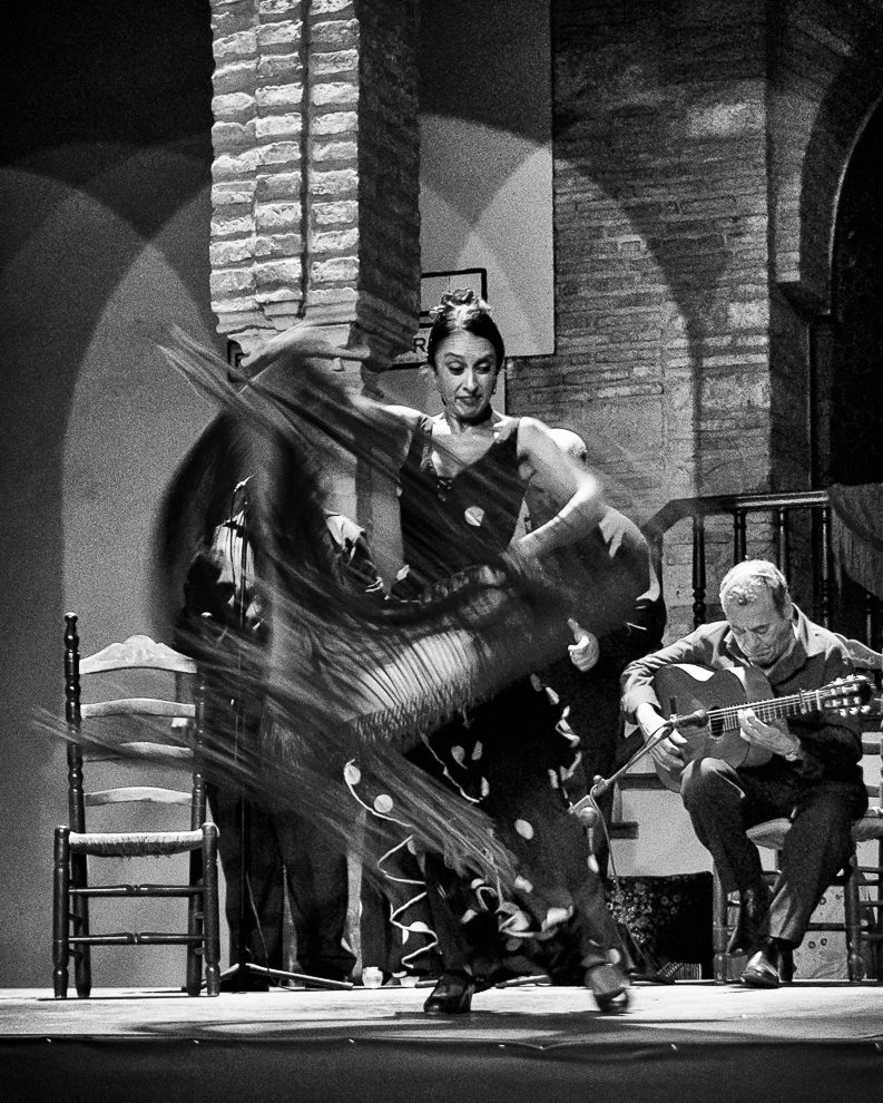 Flamenco_NB_5.jpg